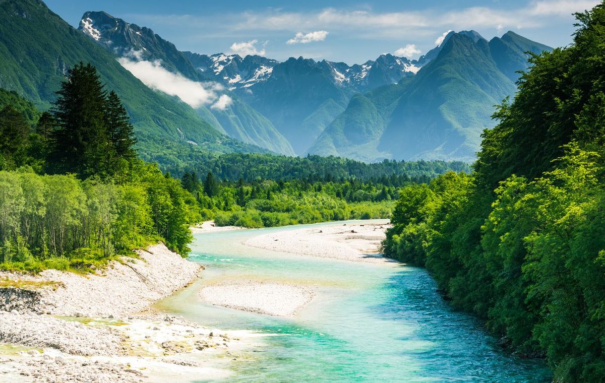 Comment depolluer son organisme