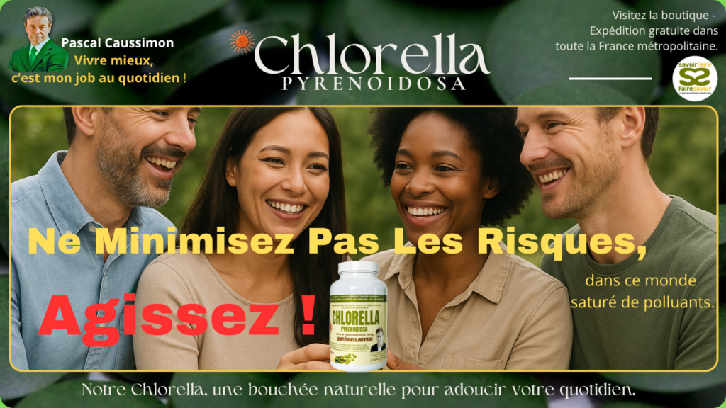 Bienvenue v03